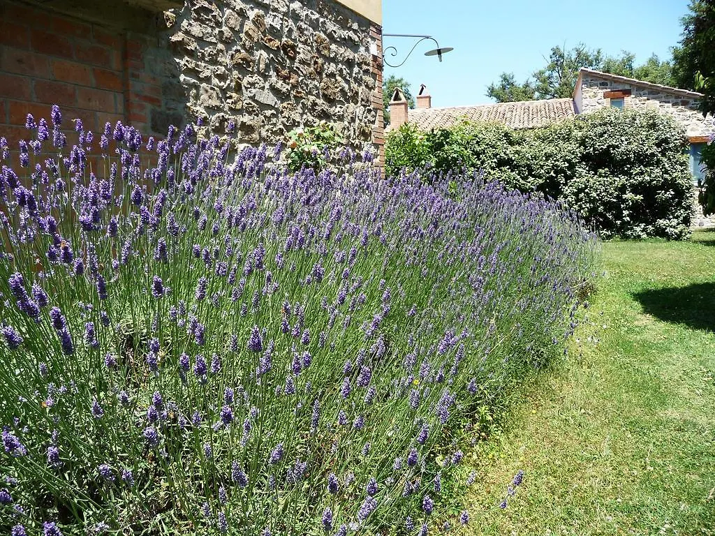 Daire Podere Sant'Angelo Roccalbegna